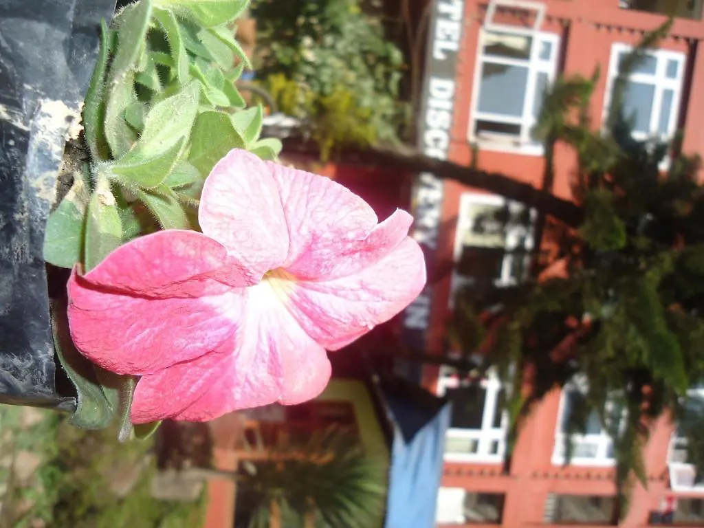 Bed & Breakfast Hotel Discovery Inn Kathmandu